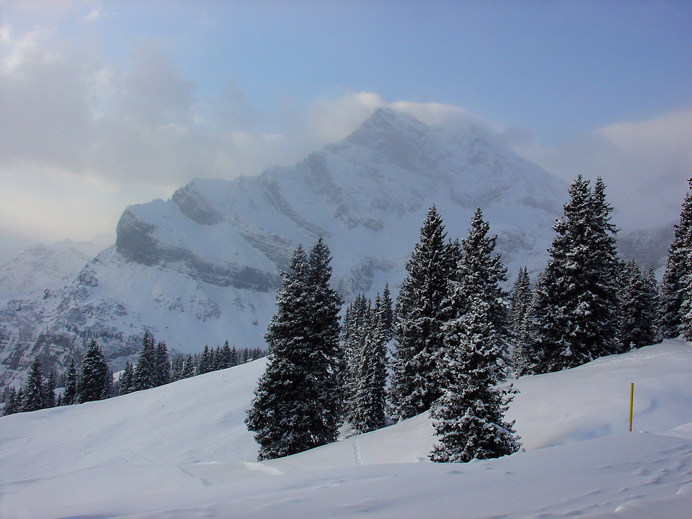 Ortstock im Wintergewand