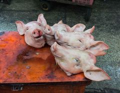 Orussey Market, Phnom Penh, Cambodia