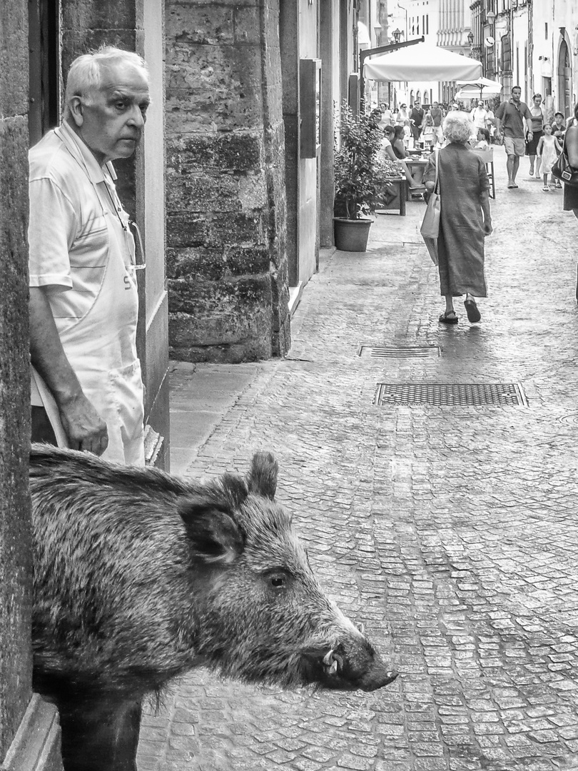 orvieto classico