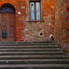 ORVIETO  CORTILE  