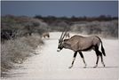 Namibia&Botswana