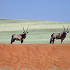 Oryx in RGB
