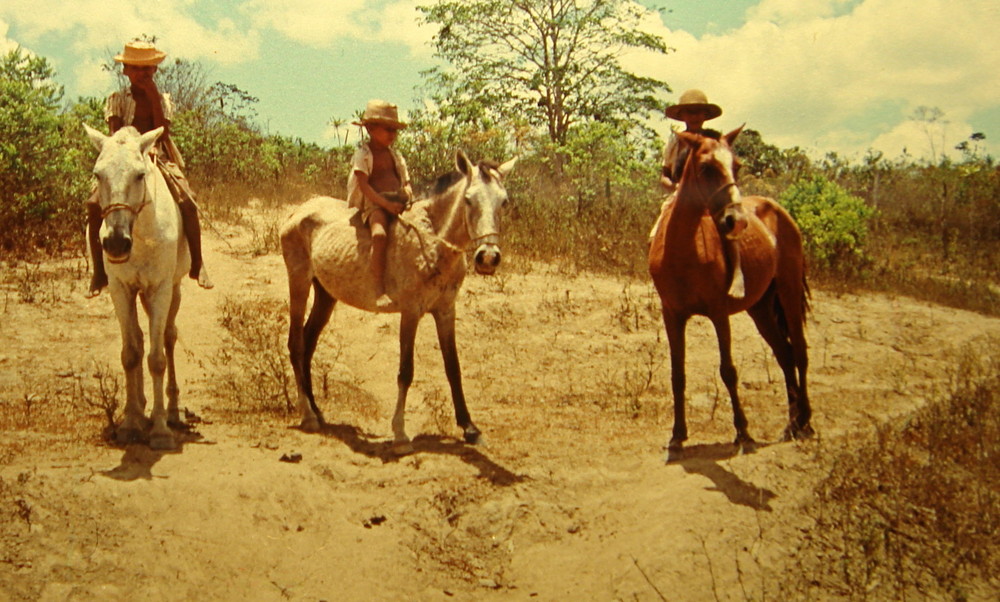 Os garotos do mato, Bahia (Brasil) 1954