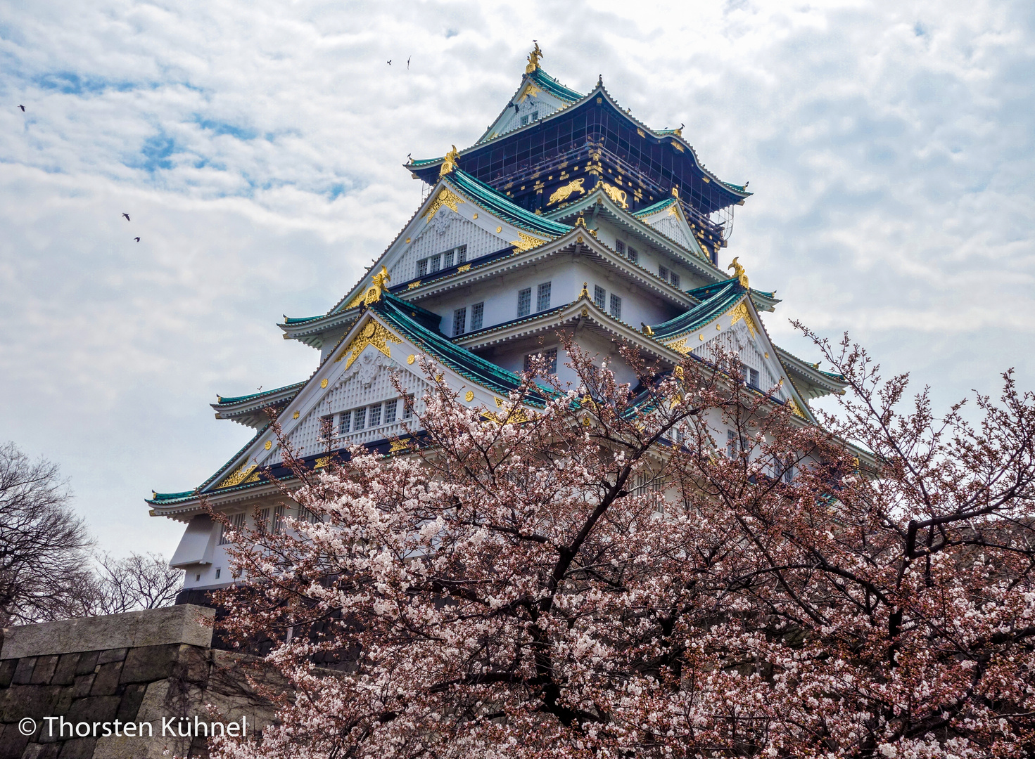 Osaka - Castle