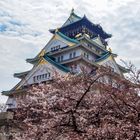 Osaka - Castle