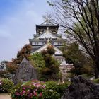 Osakacastle