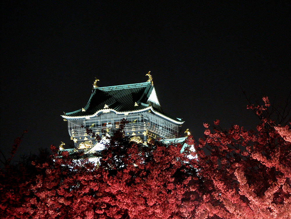 Osaka_Schloss zur Kirschbluetenzeit