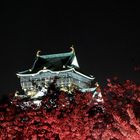 Osaka_Schloss zur Kirschbluetenzeit