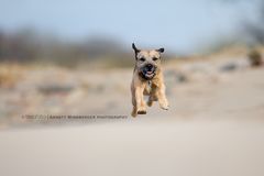 Oscar fliegt ins Wochenende...