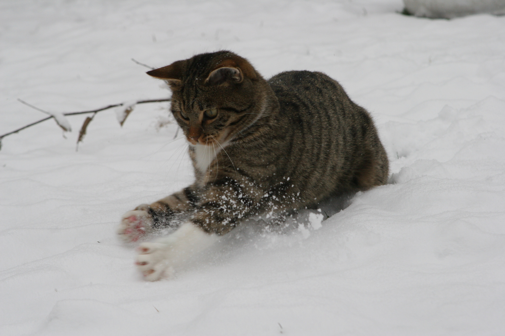 Oscar und der liebe Schnee