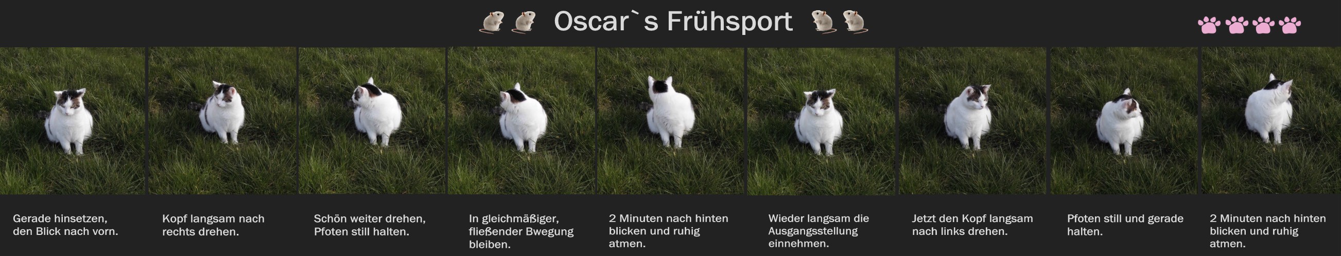 Oscars Frühsport