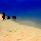 Bord de Mer...