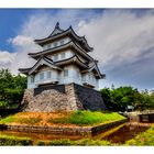 Oshi Castle-2