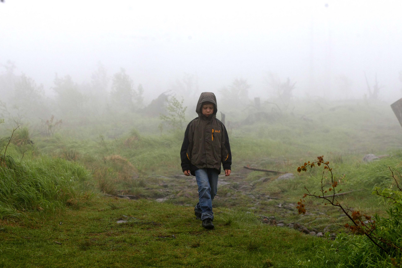 Oskar im Nebel