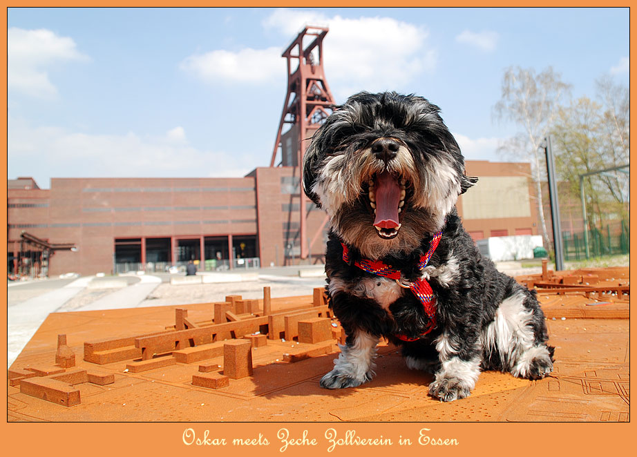 Oskar meets Zollverein