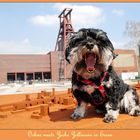 Oskar meets Zollverein