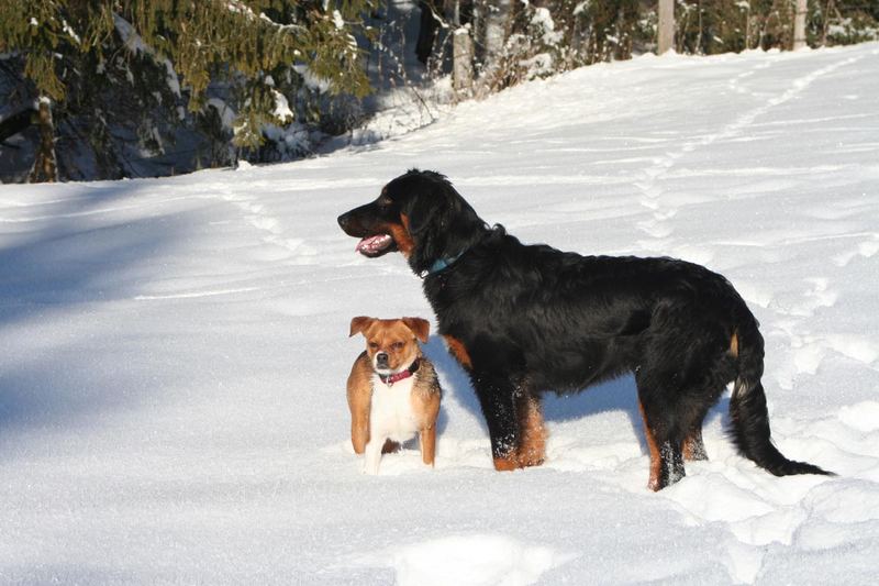 Oskar und Monty