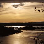 Oslo: Bunnefjord