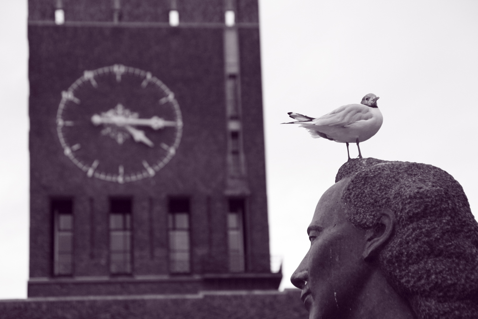 Oslo City hall - Bird & Time