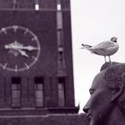 Oslo City hall - Bird & Time