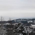 Oslo Pano