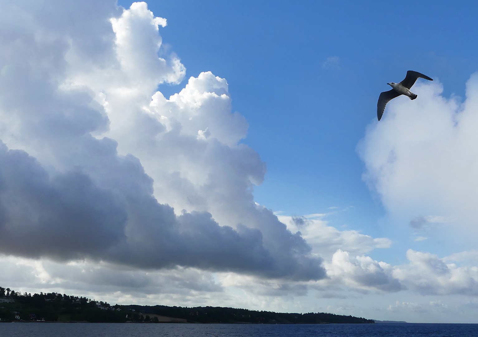 Oslofjord zum Blue Monday