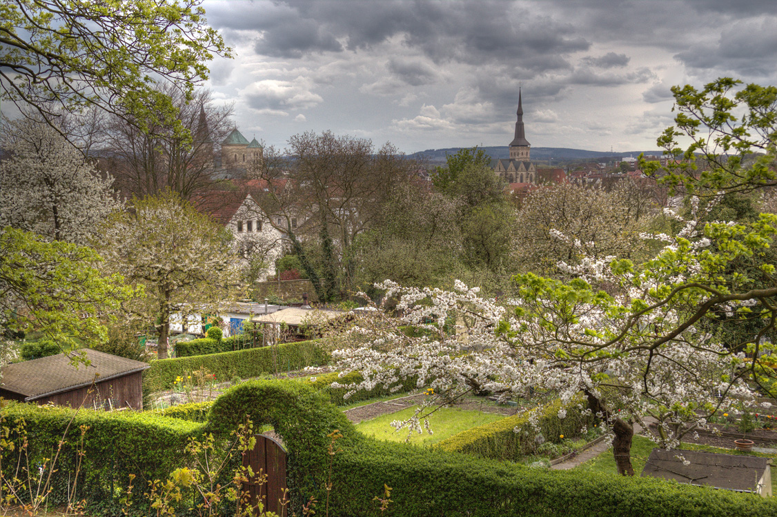 OSNABRÜCK 19