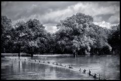 Osnabrück - Hochwasser IV