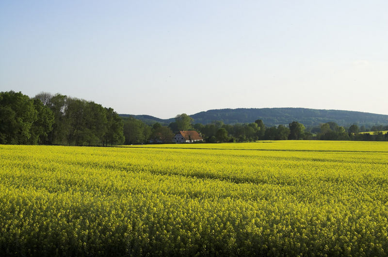 osnabrücker land