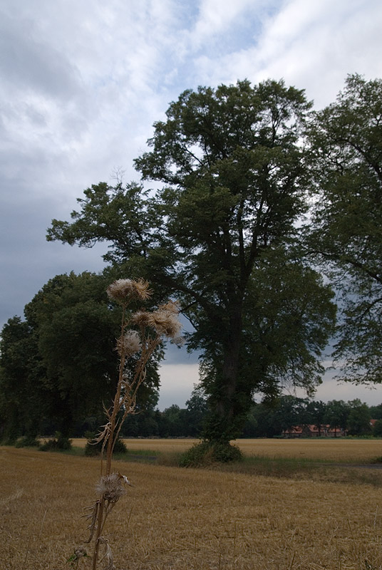 Osnabrücker Land