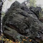 Osning-Sandstein im Teutoburger Wald