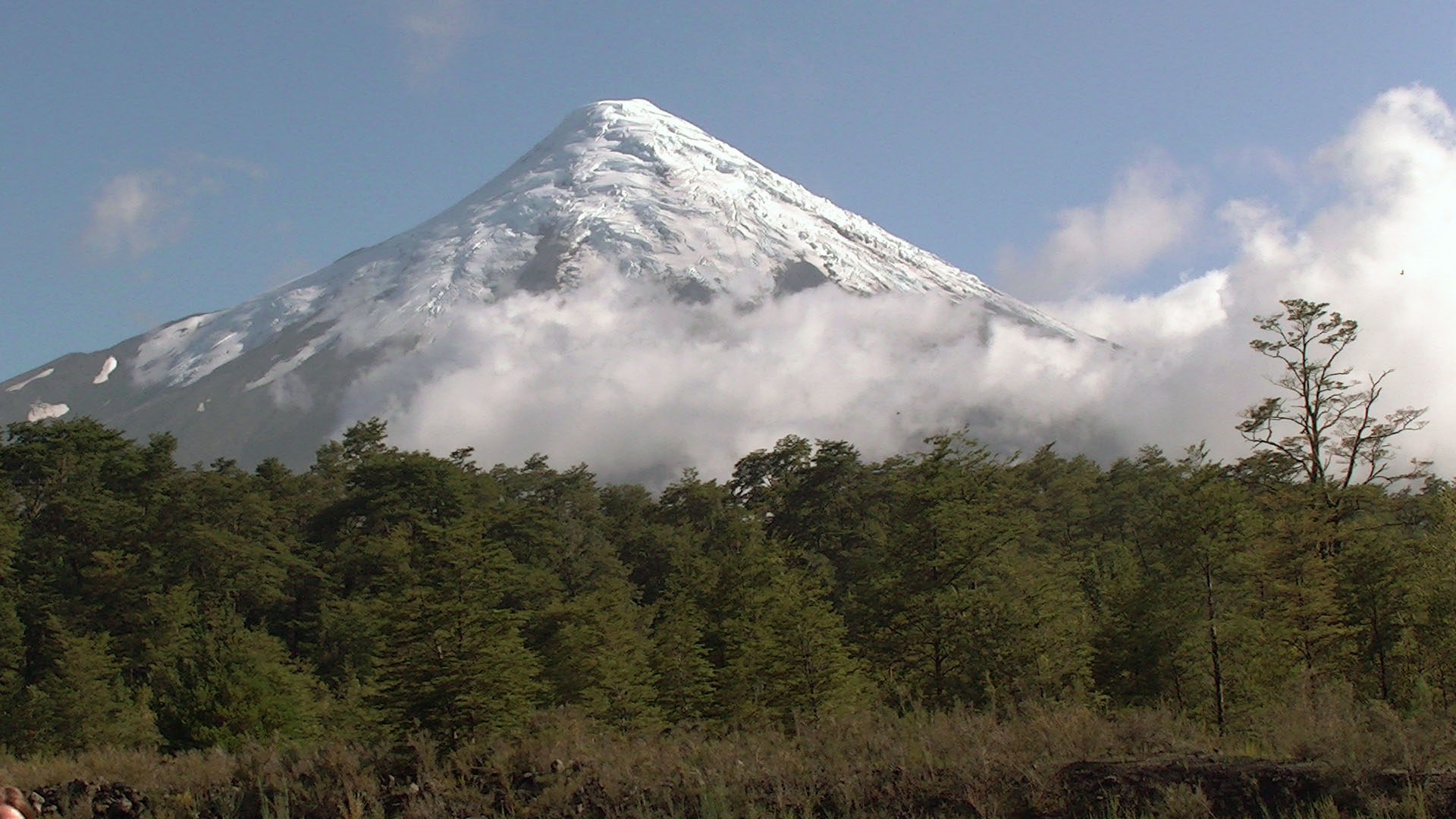 Osorno