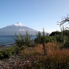 Osorno