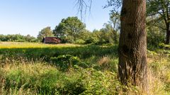 Ospeldijk - De Groote Peel - 02