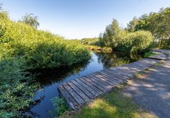 Ospeldijk - De Groote Peel - 03