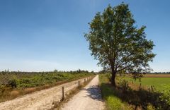 Ospeldijk - De Groote Peel - 19