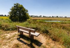 Ospeldijk - De Groote Peel - 21