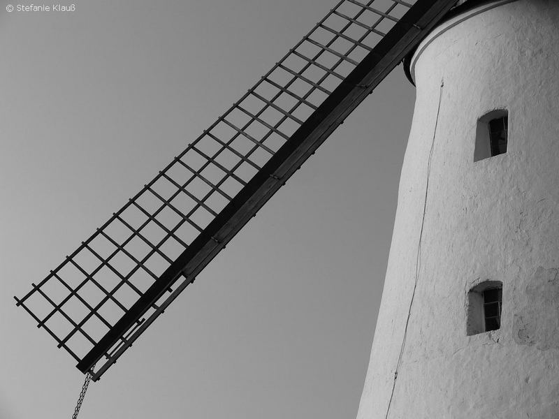 Ossendorfer Mühle - Torso im Abendlicht