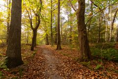 Ossendrecht-Putte - Kalmthoutse Heide - 06