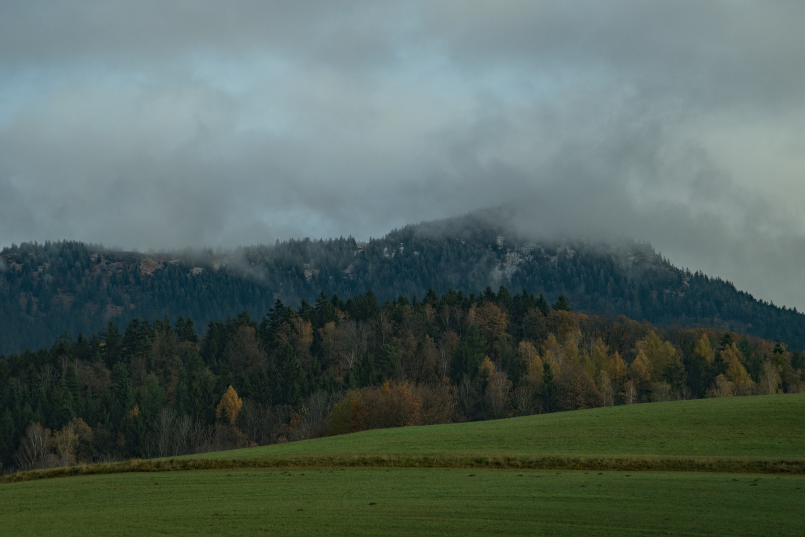 Osser im Nebel