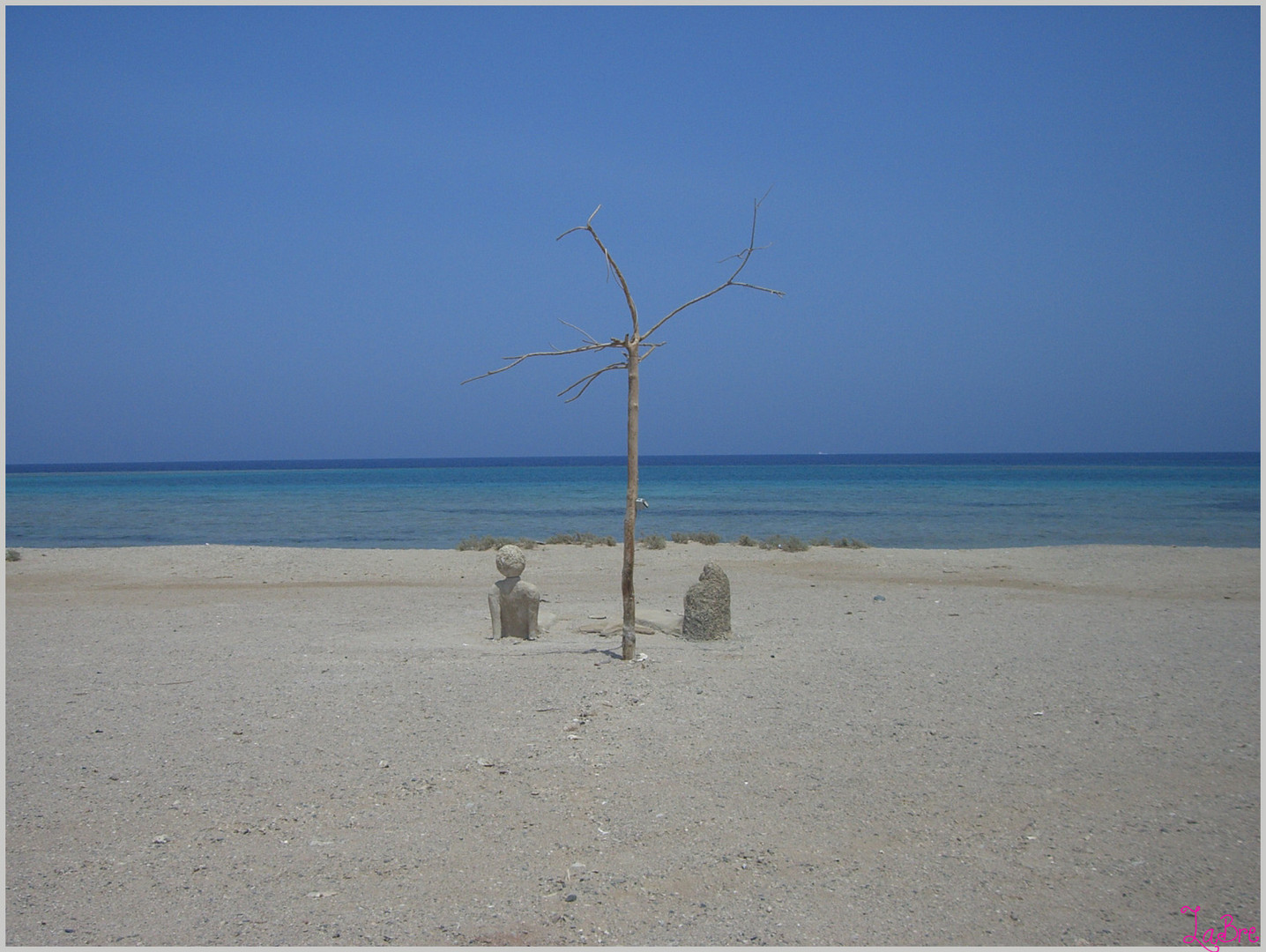 Osservando il mare...