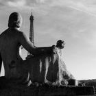 osservando la tour eiffel...