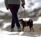 Osservando l'ultima neve