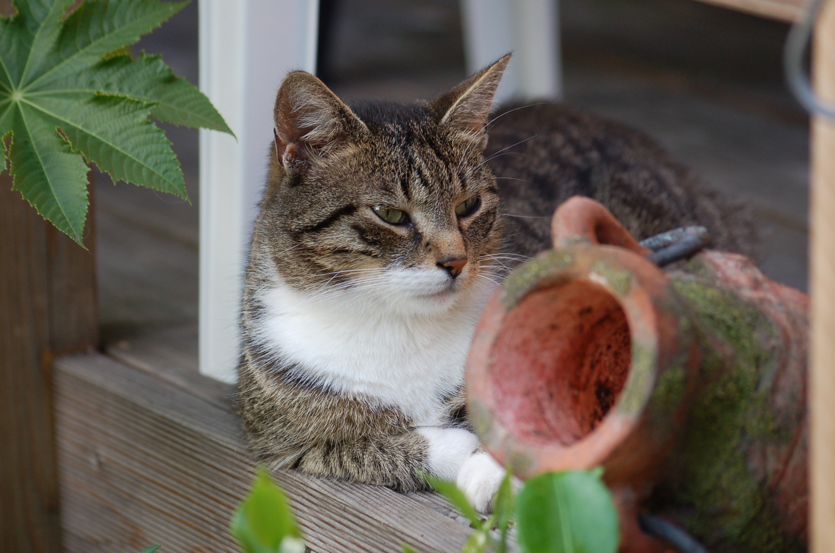 Ossi macht pause