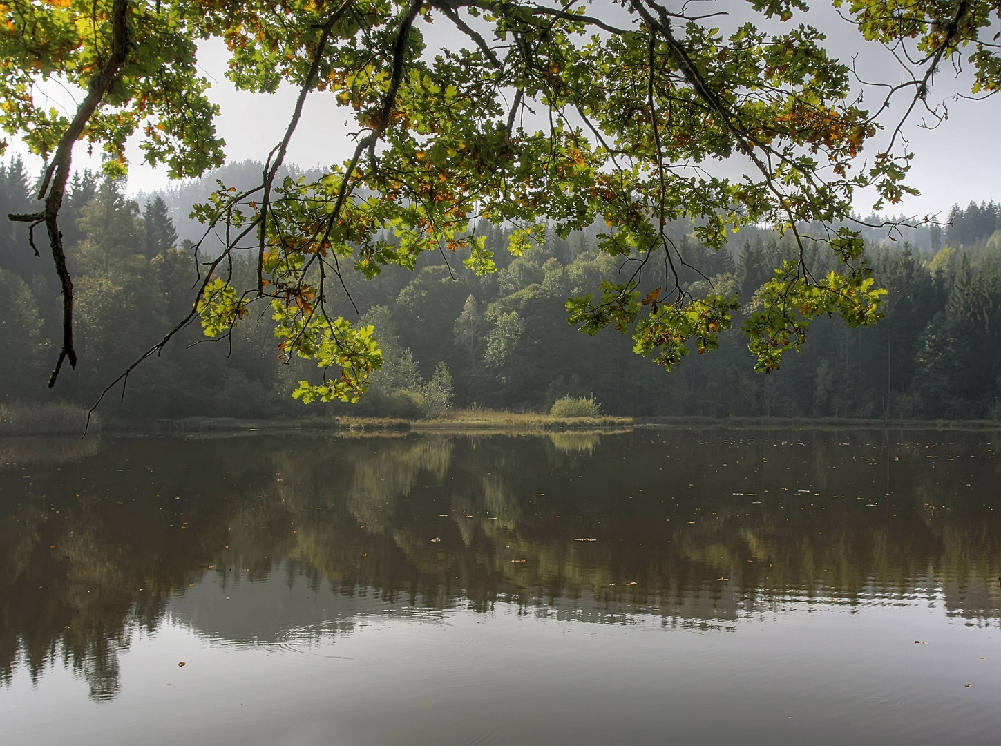 Ossiacher Tauernteich