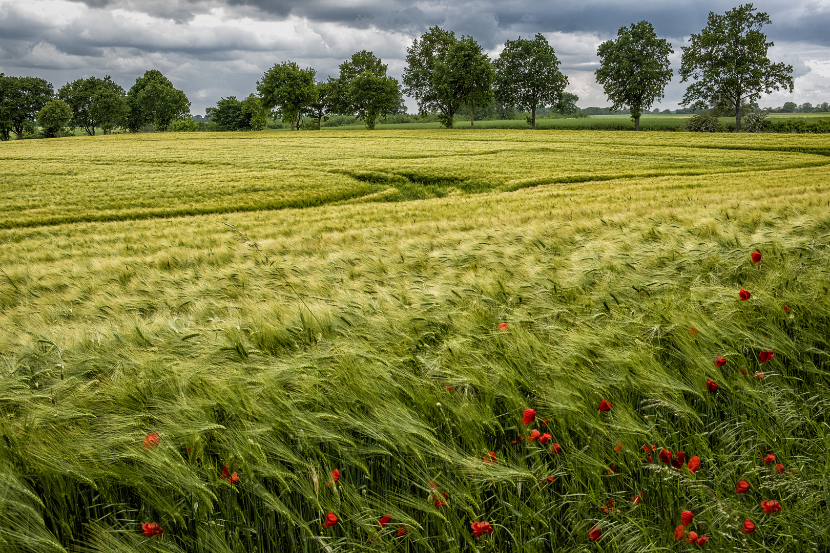 Ost-Holsteiner Land