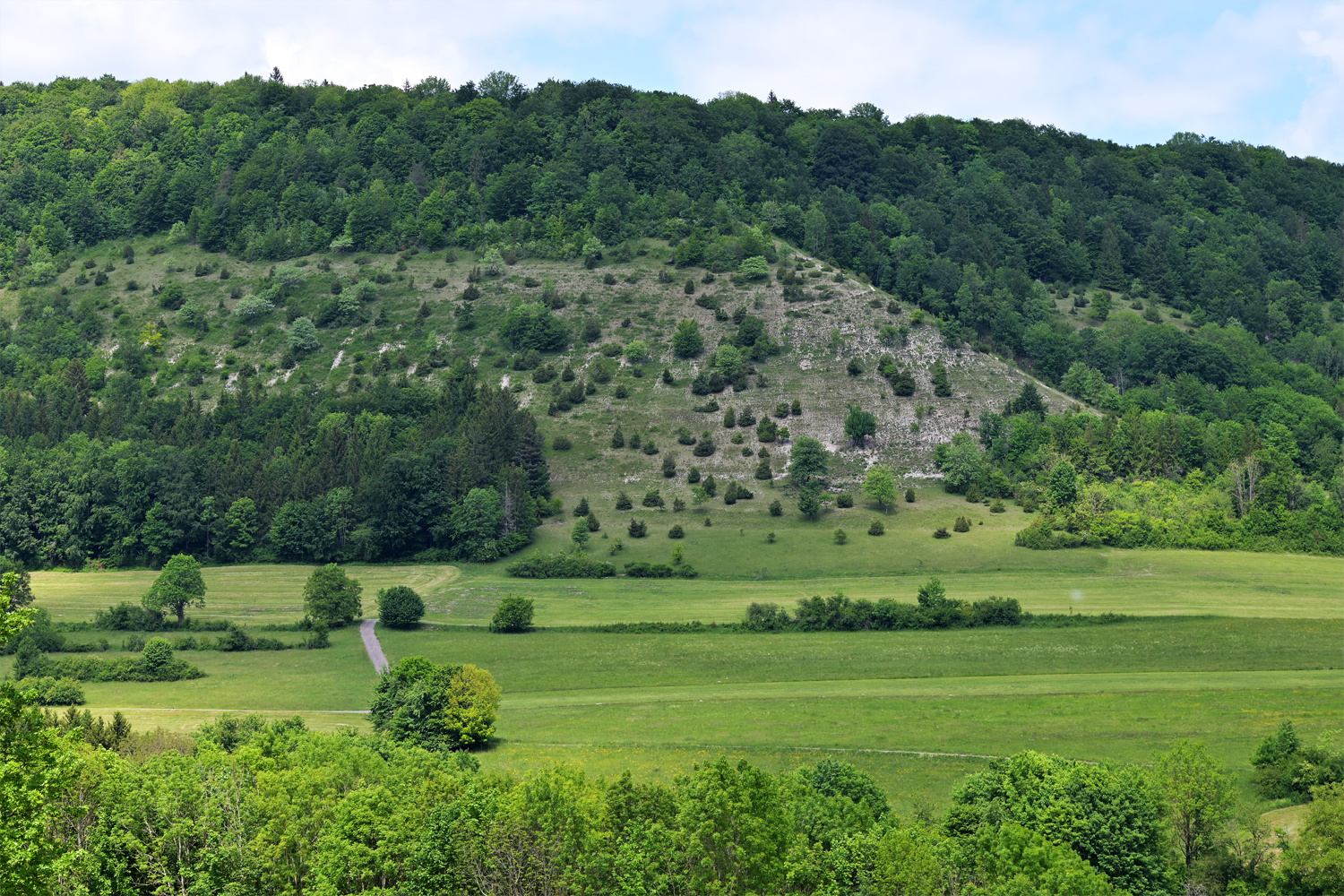 Ostalb - l'est du jura souabe 