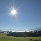 Ostallgäu