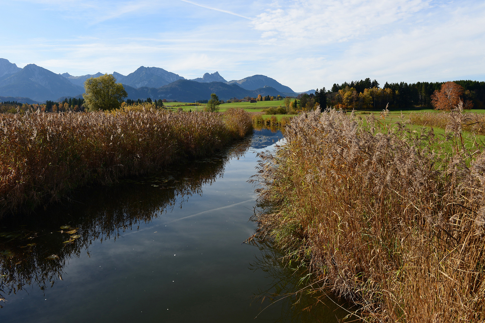 Ostallgäu