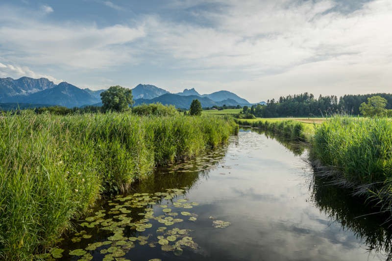 Ostallgäu im Sommer